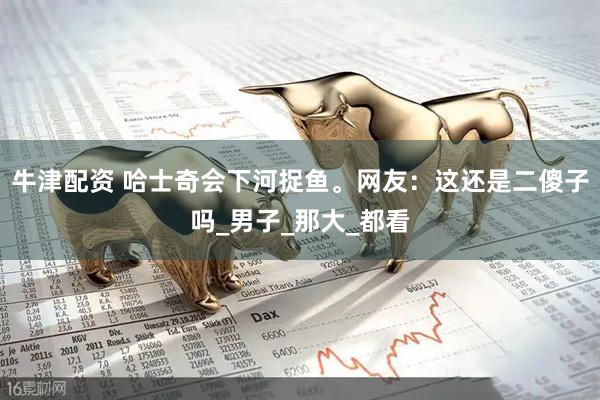 牛津配资 哈士奇会下河捉鱼。网友：这还是二傻子吗_男子_那大_都看
