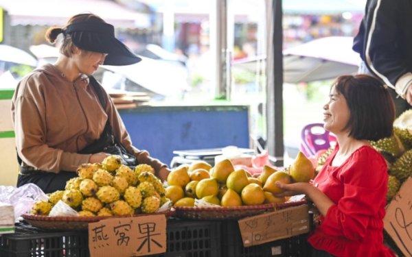 保利配资 从数据看对外开放的“高端局”