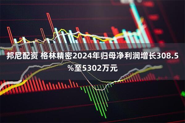 邦尼配资 格林精密2024年归母净利润增长308.5%至5302万元